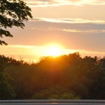 Sunset peering over a line of trees